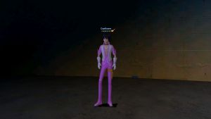 Подарок с костюмом Гамвик муж роз.jpg