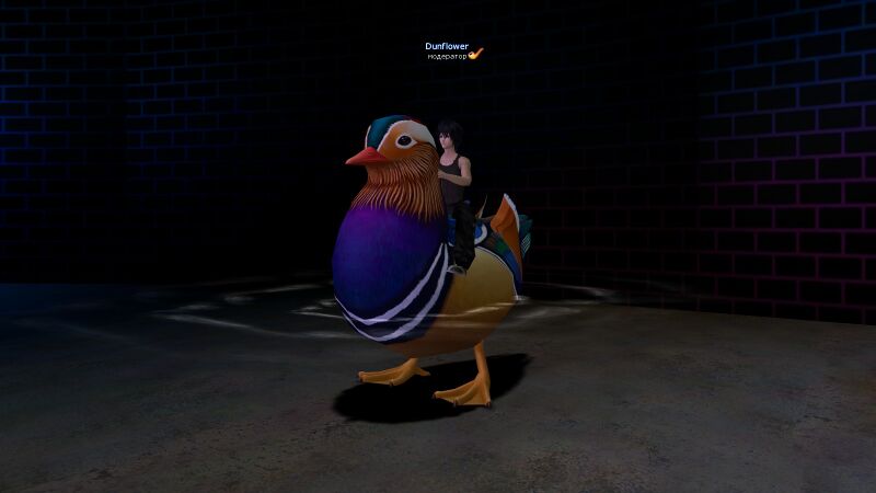 Файл:Утка трансп.jpg