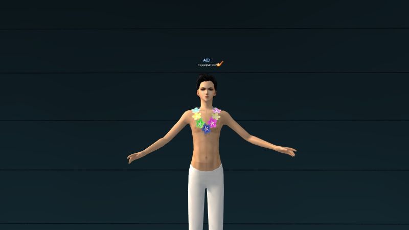 Файл:1Гавайский венок.jpg