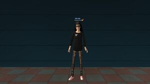 Ботинки Хайбери.jpg